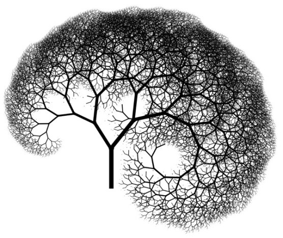 http://matthewjamestaylor.com/img/recursive-drawing/kidney-tree.jpg